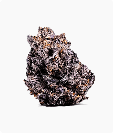 Pink Rutz